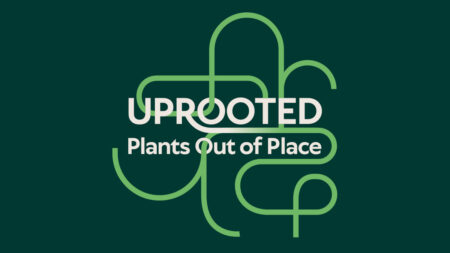 Graphic featuring the title "Uprooted: Plants Out of Place" with a green and white abstract line design on a dark background.