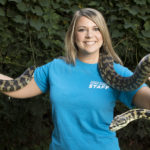 museum of natural history staff person holding a carpet python snake