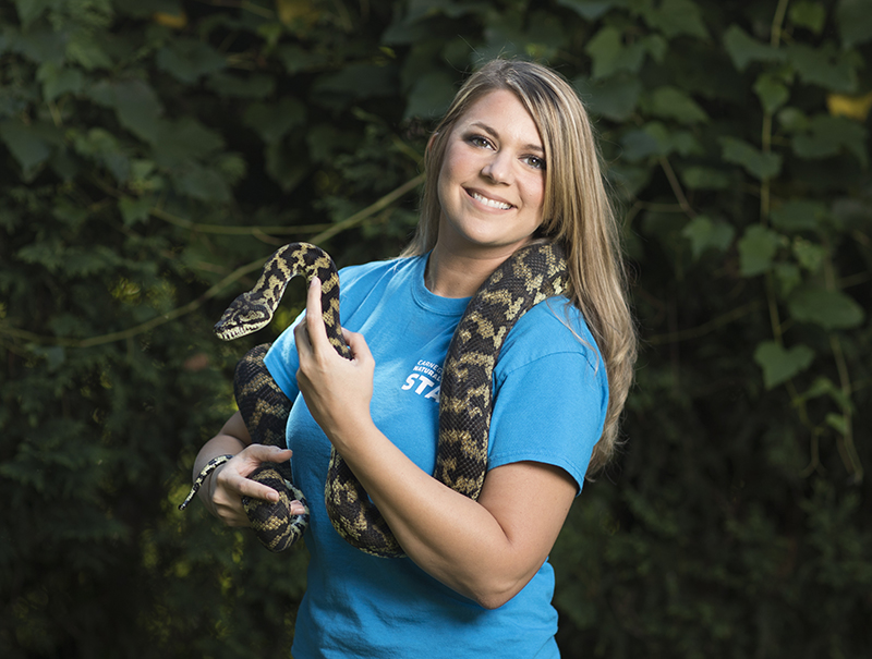 museum of natural history staff person holding a carpet python snake