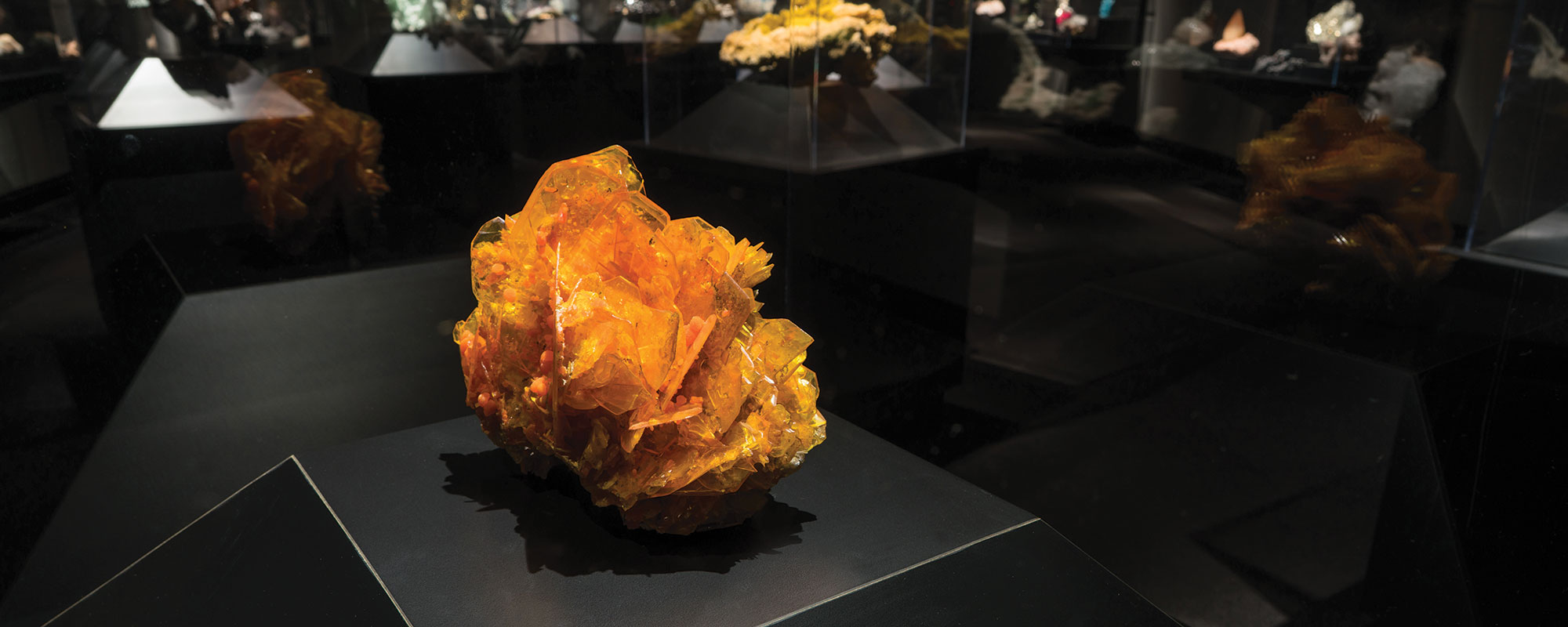 Orange mineral inside a case in a darkened room.