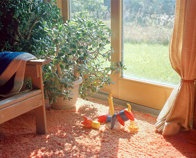 A child's toy on the floor of a living room.