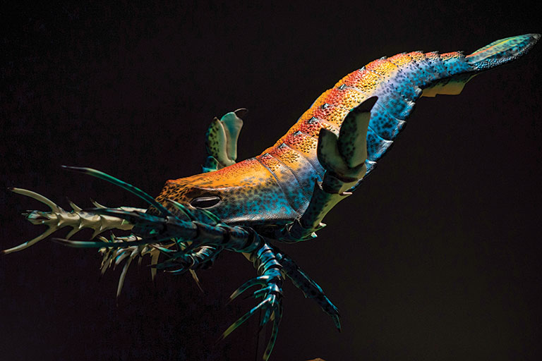 A model of a large sea scorpion.