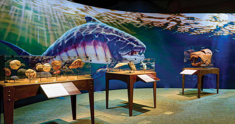 A mural of a large prehistoric fish.