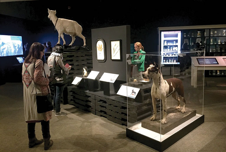 VIsitors in the We Are Nature exhibit.