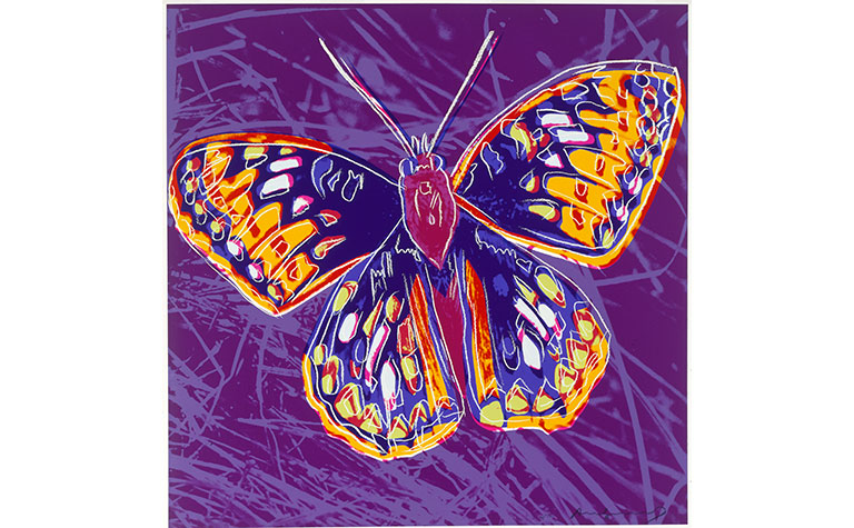 A colorful painting of a SanFrancisco Silverspot butterfly