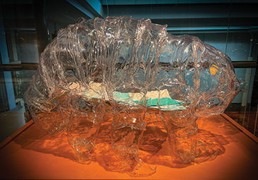 a transparent figure of a tardigrade