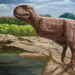 illustration of a dinosaur