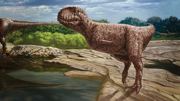 illustration of a dinosaur