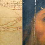 side by side images of Da Vinci's Vitruvian Man and a closely cropped painting beleived to be of Leonardo Da Vinci.