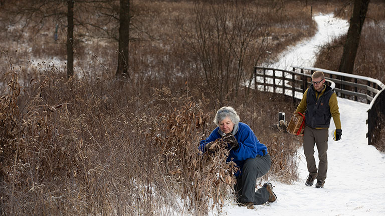 A woman kneeling and looking at plant while a man walks up behind her