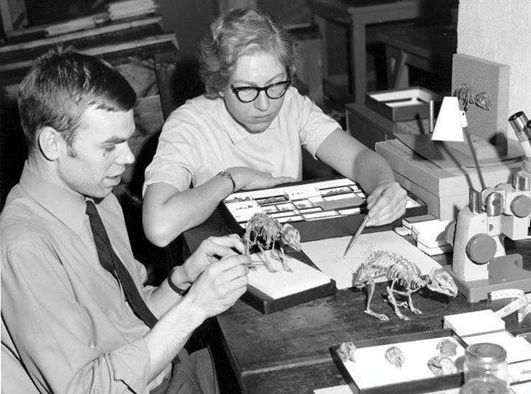 A very young Mary Dawson studying fossils at a table.