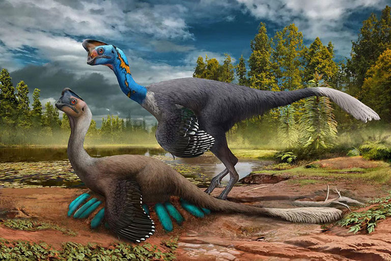 An illustration of an oviratorosaur sitting on a nest