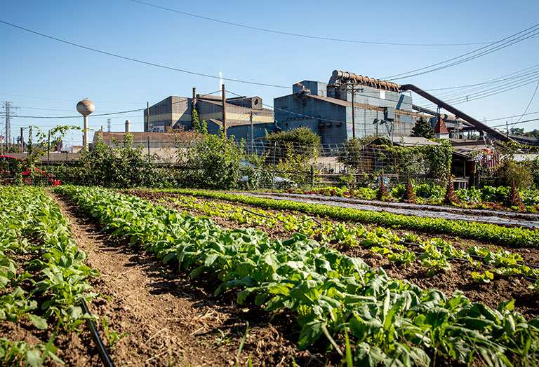 A large garden with an old steel mill in the background