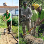 A series of images depicting people at work in community farming
