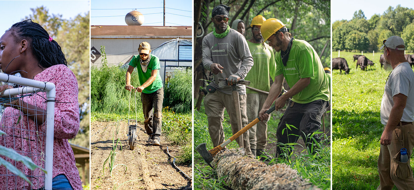 A series of images depicting people at work in community farming