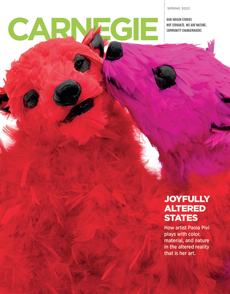 Cover of the Spring 2022 Issue of Carnegie Magazine
