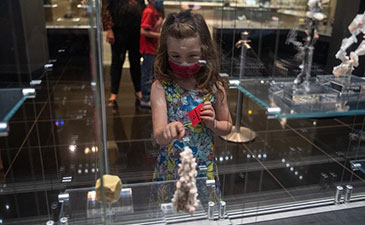 A young girl looking at a museum case containing gems