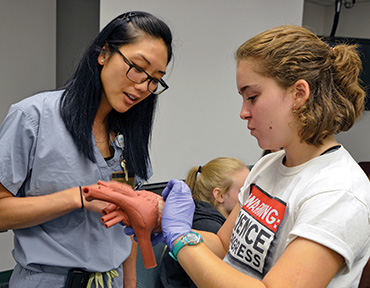 Tour Your Future participant Dallas Mercurio gets an up-close look at a model of a human heart during an interactive tour at Allegheny General Hospital.