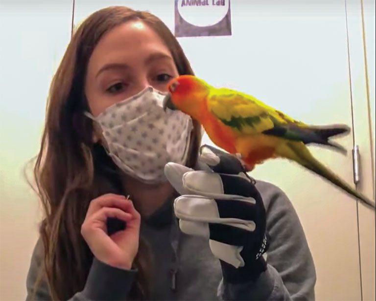 A young woman educator feeding a bird by hand.