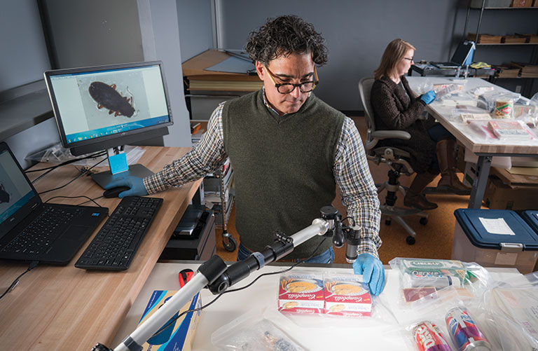 A man examining an item in a conservation lab.