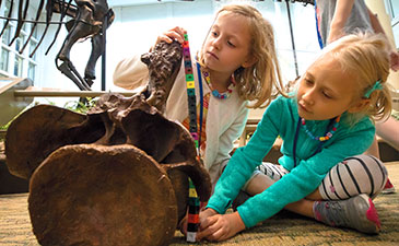 Two young children measuring a dinosaur bone at a summer camp