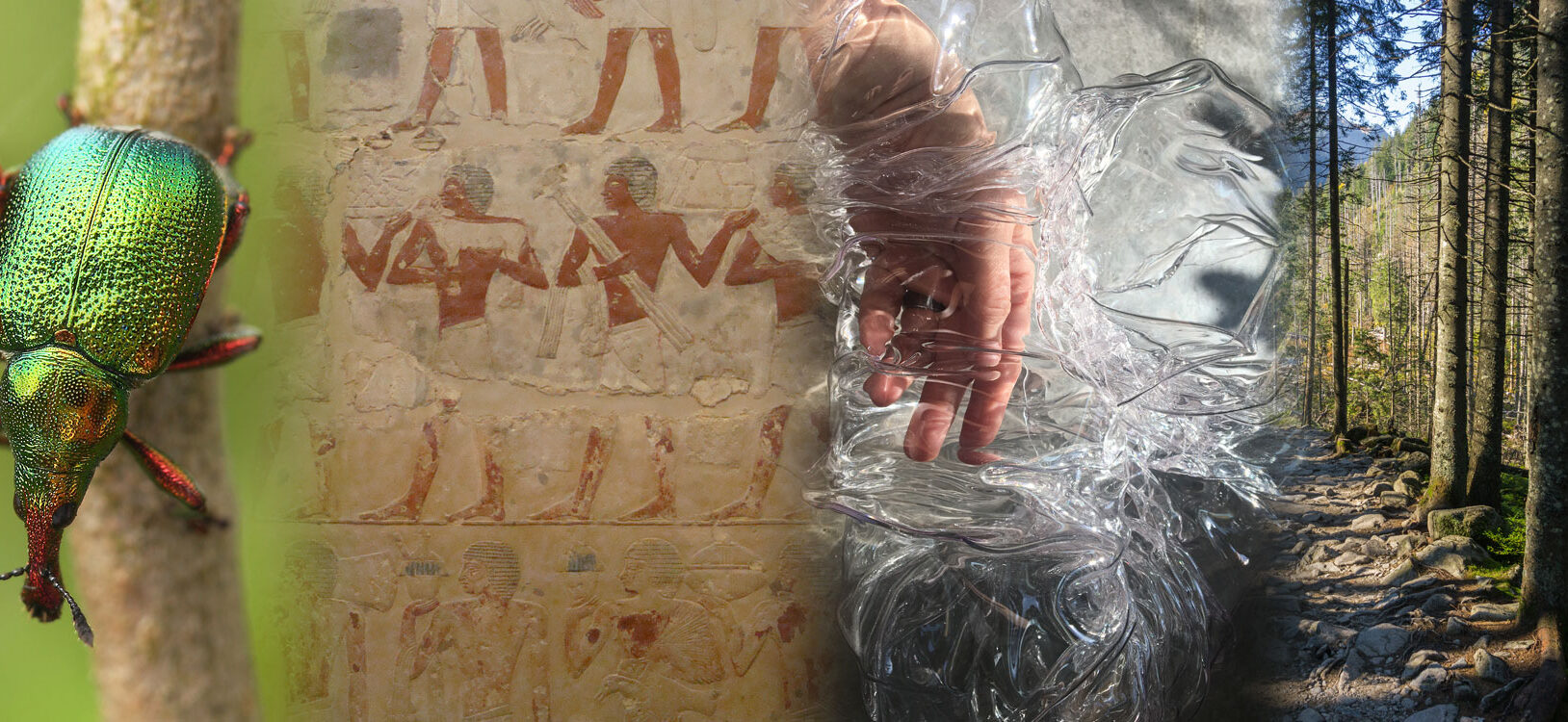 A beetle, hieroglyphics and a hand in plastic