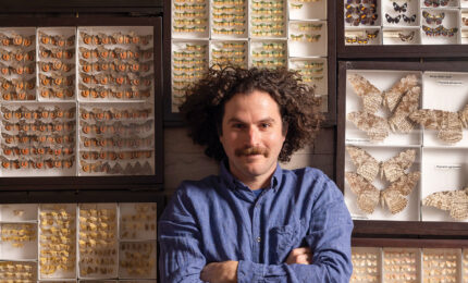 A man with curly hair surrounded by cases of butterfly and moth specimens.