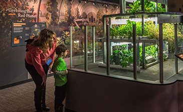 Museum goers looking at an exhibit of Martian Gardens