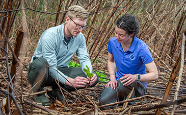 Two scientists looking at a plant.