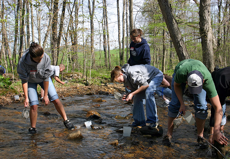A group of teens gathering samples from a stream.