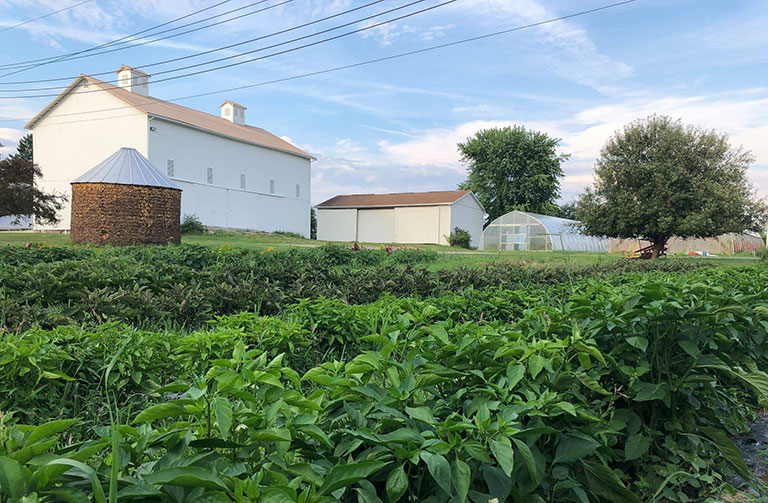 A farm with crops in the foreground.