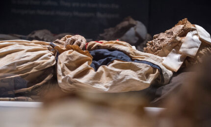 Profile view of a mummified women in period dress.