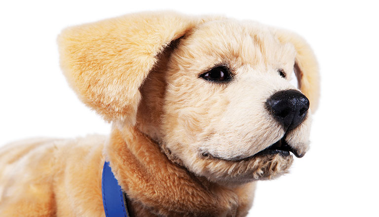 A robotic dog.