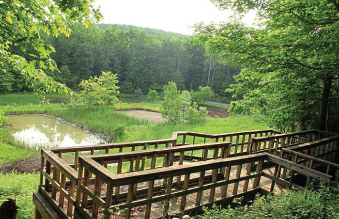 An outdoor scene showing a draining system