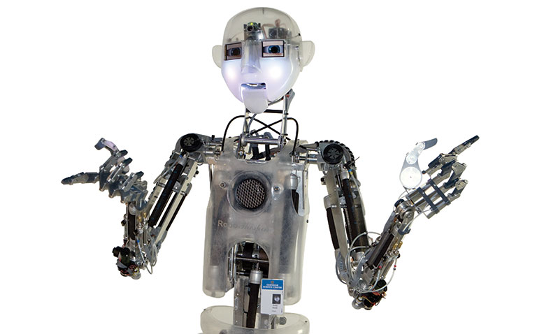 Interactive robot