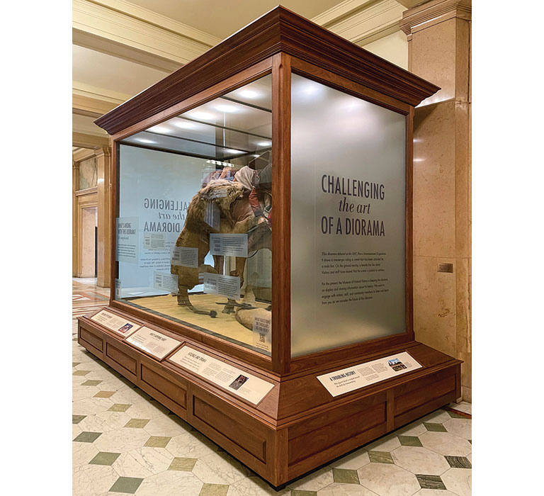 Diorama of a lion attacking a man on a camel